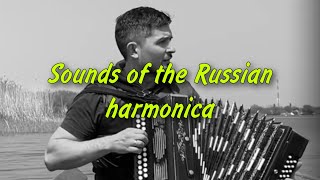 Russian guy superbly performs a military song  Heart stops - Sounds of the Russian harmonica