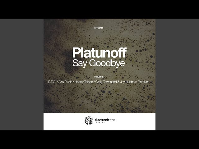 Platunoff - Say Goodbye