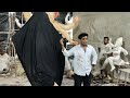 الكشف عن وجوه مهرجان ماد آرتس حيدر آباد 2026 خطاب ماد آرتس 
