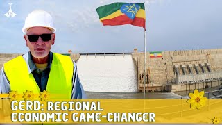 Addis Dialogue:GERD: Regional Economic Game-Changer screenshot 4
