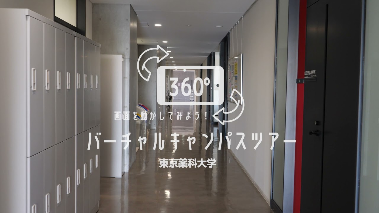 東京 薬科 大学
