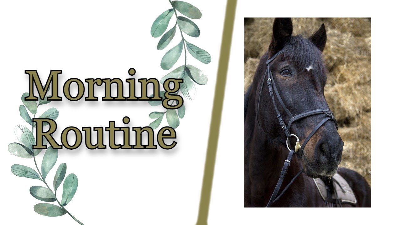 Morning Routine {MINECRAFT} - YouTube