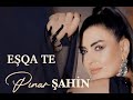PINAR ŞAHİN EŞQA TE RENGÊ TE RENGÊ GULAYÎ PINAR ŞAHİN EŞQA TE RENGÊ TE RENGÊ GULAYÎ