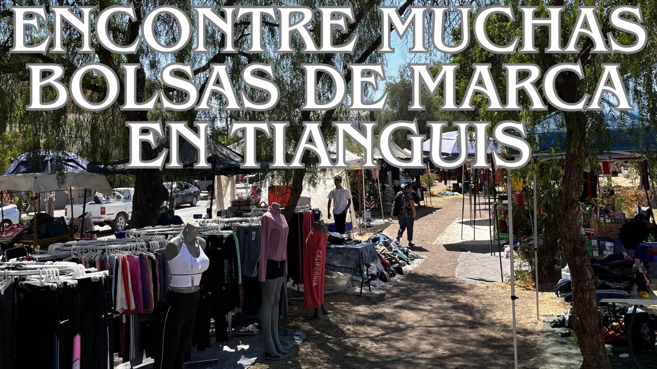 Encontré muchas Bolsas de Marcas en Tianguis 