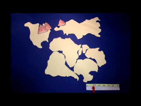 Video: L'Antartide faceva parte della pangea?
