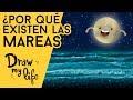 ¿POR QUÉ EXISTEN LAS MAREAS? - Draw My Life