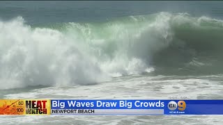 If you are planning to beat the heat at beach expect some high surf.
stacey butler reports from newport where those big waves drawing
crowds.