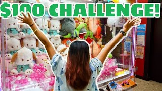 JAPAN $100 CRANE GAME CHALLENGE