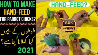 How to Hand-Feed Parrot Chicks?|How to Make Hand-Feeding Formula for parrot Chicks?|Tips & info 2021 screenshot 2