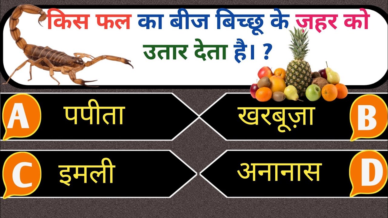 Islamic Quiz Challenge | Islamic Question Answer (Part 4) | Test Your Knowledge