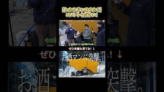 ランタンマニアの方教えてください！コメントまで #タナちゃんねる #テント #キャンプ