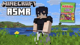 Minecraft ASMR but Sleep is Inevitable (Gummy Candy) screenshot 3