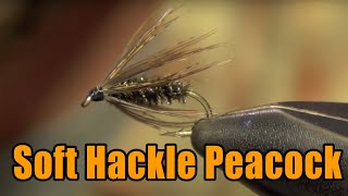 Soft Hackle Peacock Fly Tying Instructions Directions and How To Tie Tutorial screenshot 5