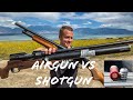 Airgun vs shotgun is the aea zeus more powerful than a 12 guage slug