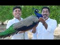 വറുത്തരച്ച മയിൽ കറി | Traditional Peacock Curry Recipe | Cooking In a Dubai