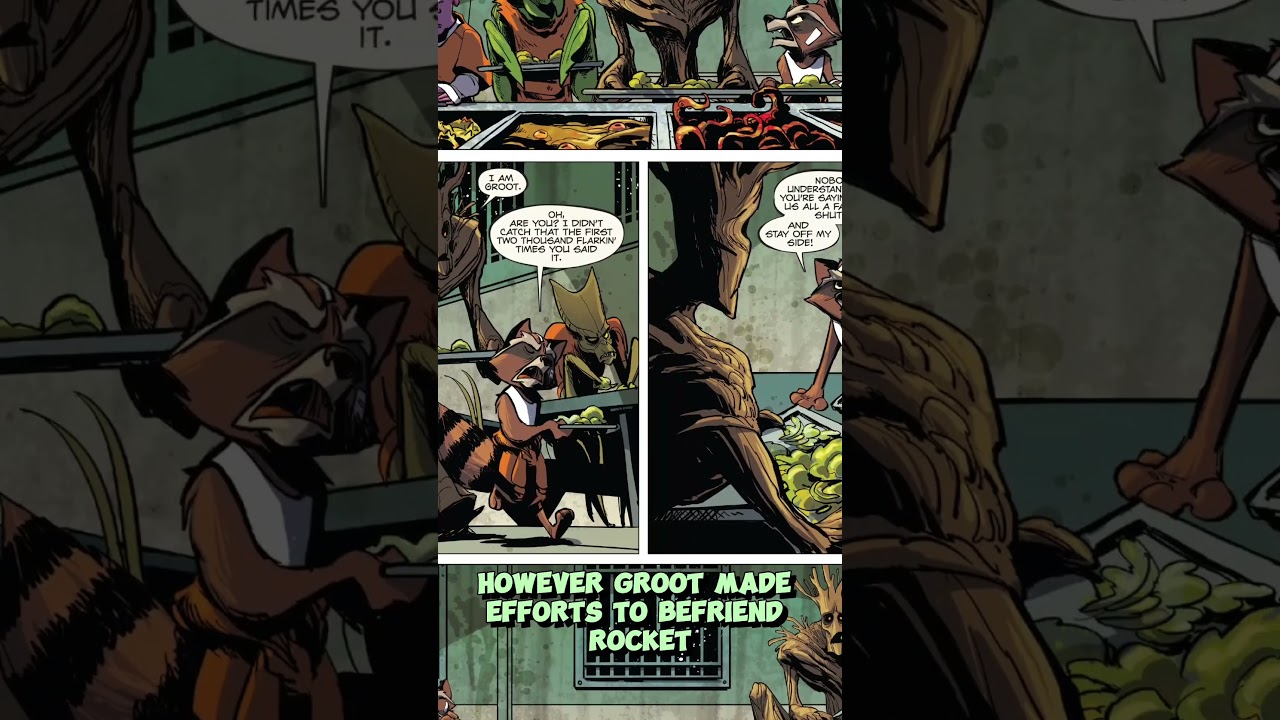 HOW did ROCKET and GROOT meet?