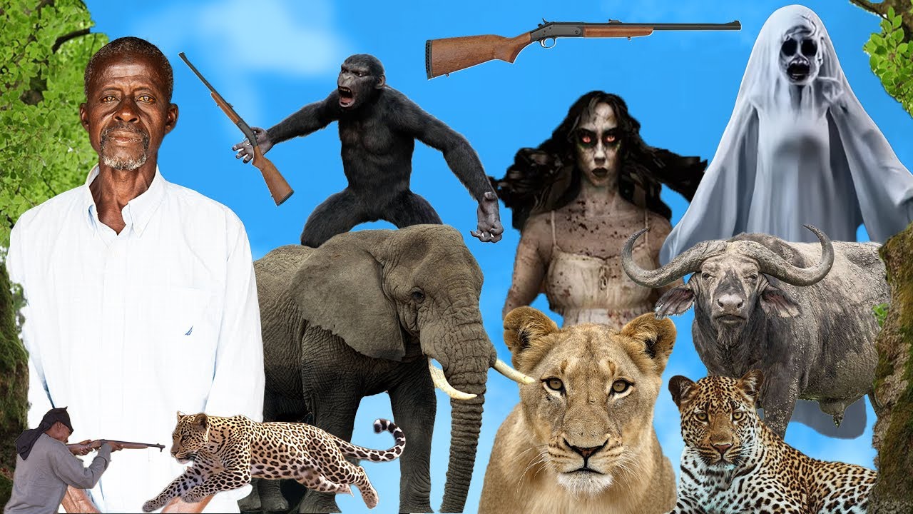 SERIOUS, A very tall Spirit chased us in the forest at midnight .I saw an old Dwarf  with my eyes.