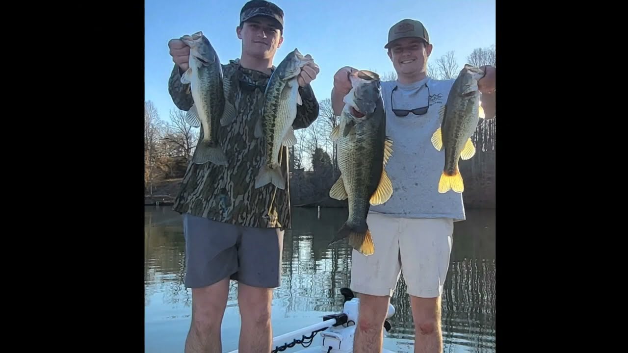 Spring Bass Fishing Belews Lake