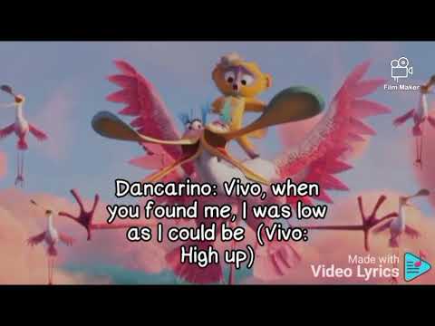 Love's gonna pick you up. song lyrics. Vivo.