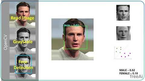 Introduction to Image Processing for Face Recognition
