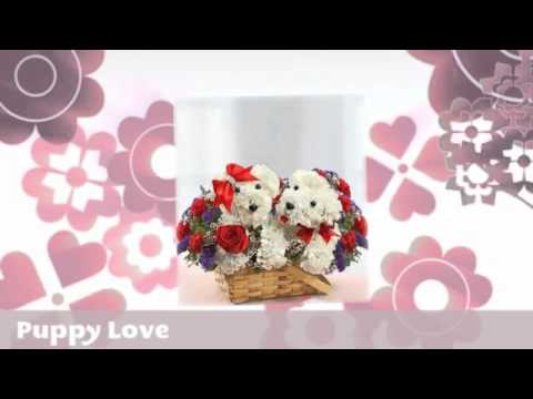 Flower Delivery Denville NJ | 1-800-444-3569 | Send Flowers Denville NJ|Flowers Denville NJ