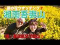 続・遠足気分で登山! 021 湘南吾妻山