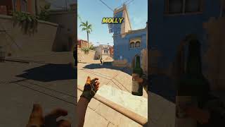 Window Molly On Mirage