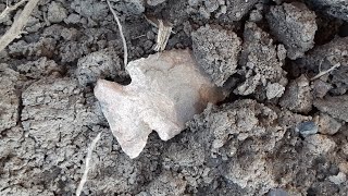 Artifact & Arrowhead Hunting Indiana ( KILLA KIRK )