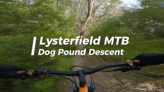 Lysterfield Mtb Dog Pound Descent