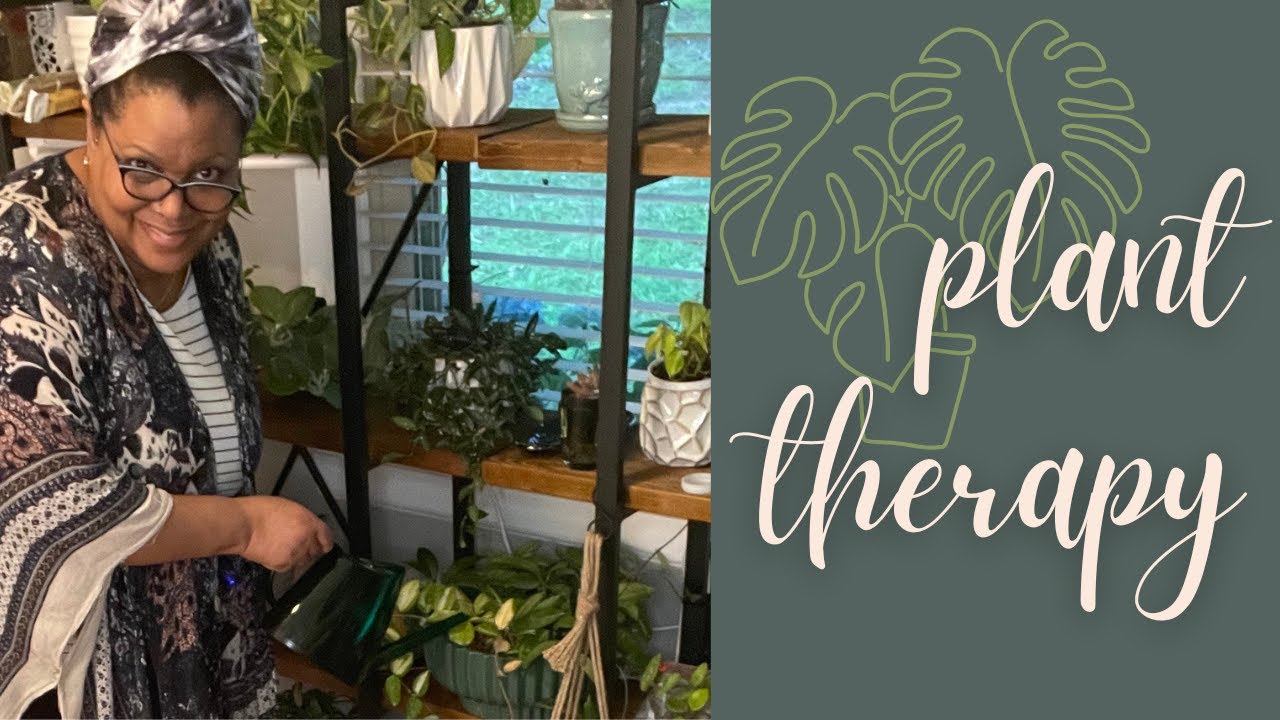 Life Lessons I learned From My Plants | Plant Therapy - YouTube