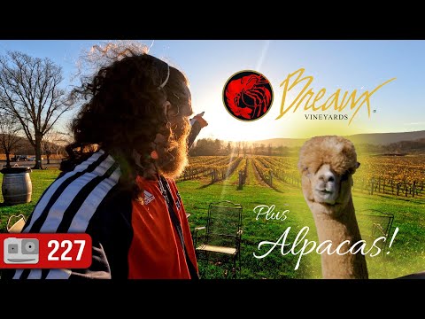 Breaux Vineyards And The Alpaca Farm | Purcellville, VA | ADV 227
