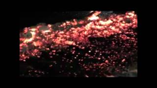 Fire walk for Special Olympics Limerick by Brian Moore