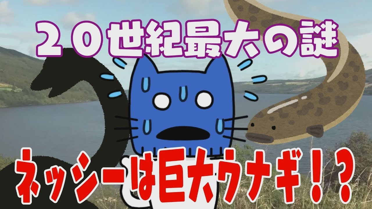 ネッシーはいない 正体は 巨大ウナギだなんて マスクにゃんニュース Youtube