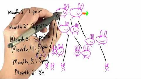 Bunnies : Easy understanding of Fibonacci number : How it works !