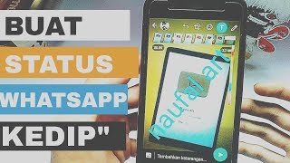 Trik buat status kedap kedip di whatsapp