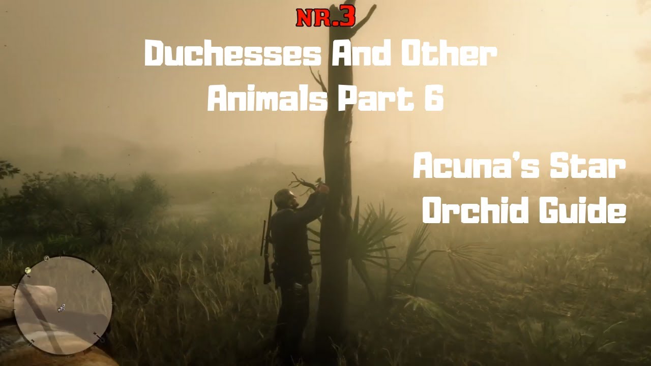 RDR2 - Duchesses And Other Animals Part 6 - Acuna's Star Orchid Guide ...
