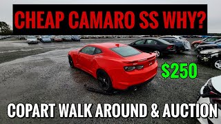 COPART WALK AROUND $250 CAMARO SS