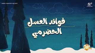 7 فوائد عسل السدر الجبلي اليمني – أصل العسل الجبلي في مصر