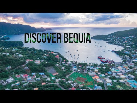 Video: Kompletní Průvodce Sítí Bequia - Matador