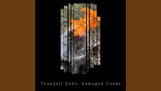 The Ballad of Jane Doe - Tranquil Ends