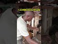 working in the factory