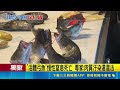 直擊高雄魚販綁魚噱頭！殘忍活體弓魚害慢性窒息動保會認同虐待違法｜三立新聞LIVE