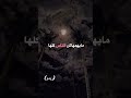 تبقى الوحيد اللي اخذ قلبها
