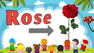 Flowers name 🌺 🌹 for kids || Lkg , ukg & class 1 , 2 || preschoolers , kindergarten || kids space