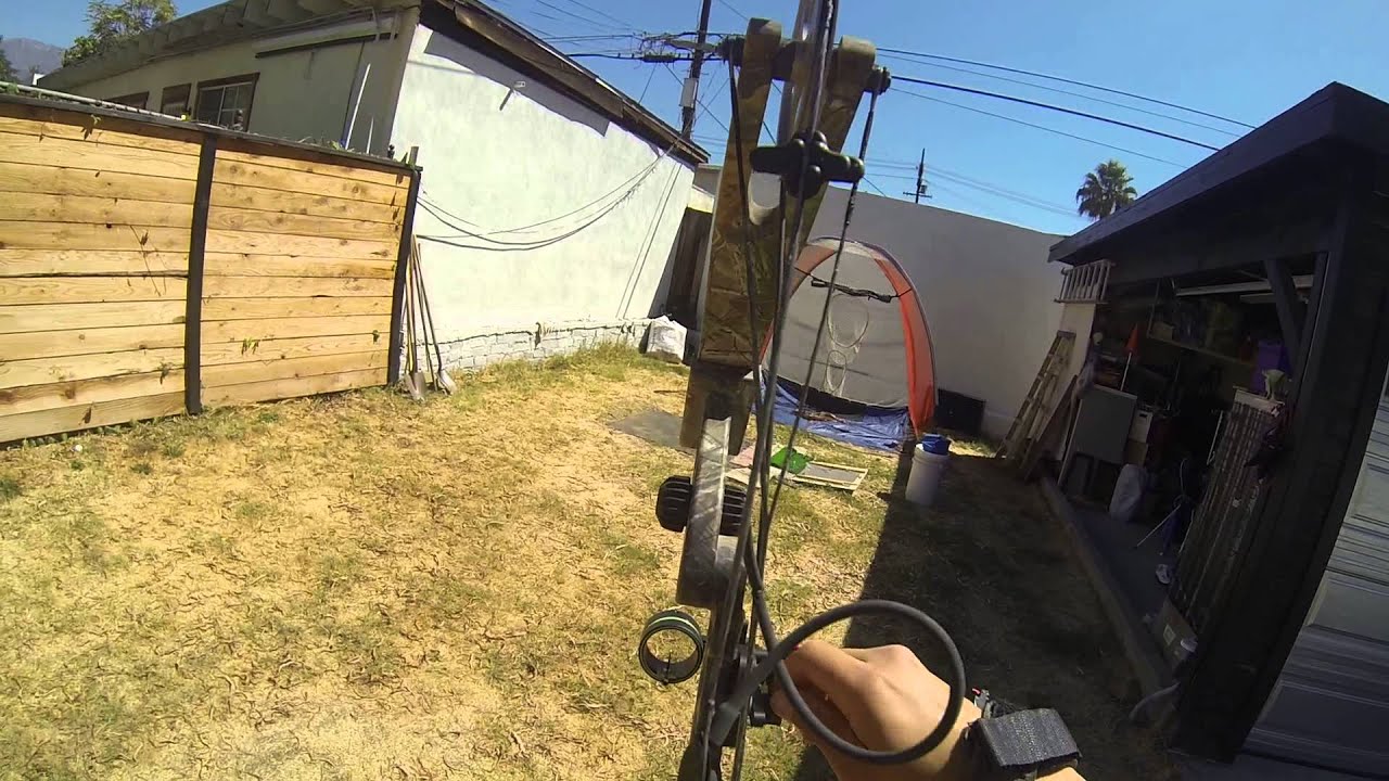 Martin Cheetah Compound Bow for Sale YouTube