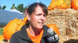 PATV In Your Neighborhood: Colony Pumpkin Patch