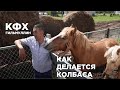 Как устроен колбасный цех/Экскурсия по хозяйству