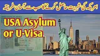 USA asylum process & Green card | American green card process | Desi lawyer in USA