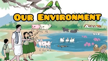 Our Environment- part 1/3rd standard /3rd term/  science /unit 1/samacheer kalvi