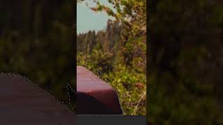 Photoshop Tutorial: Change Background #shorts